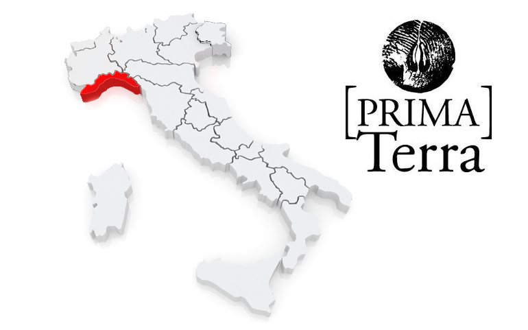 The Power of Bordeaux