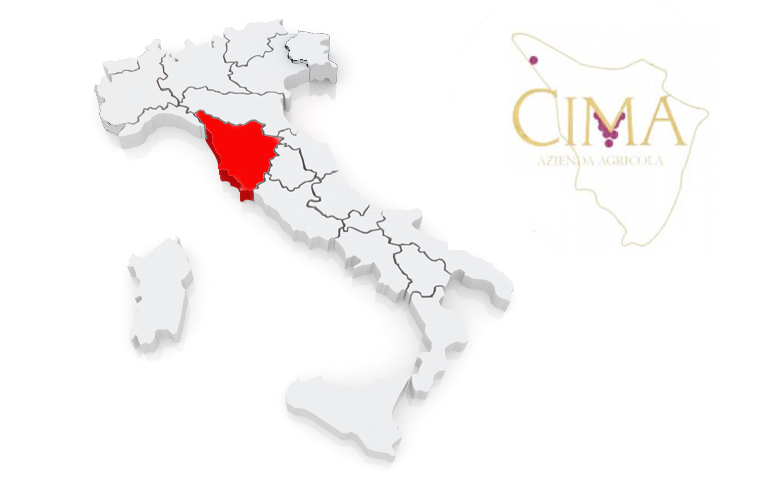 The Power of Bordeaux