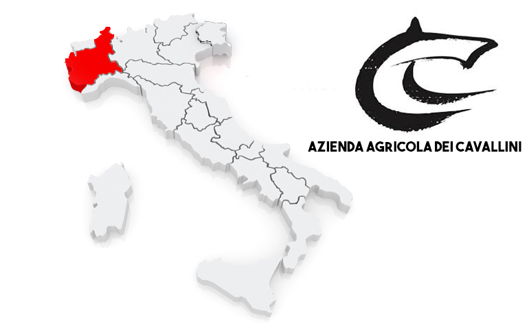 10 Best Rerecipes of Desserts to Pair White Wines